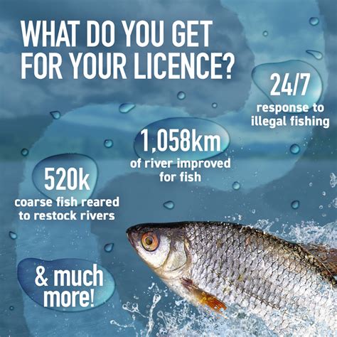 Angling Trust Get Fishing Fishing Licence Promotion With Get Fishing