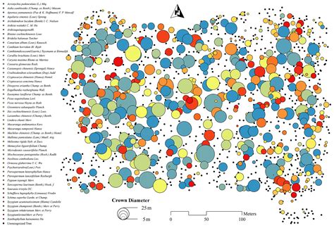 Amt Estimation Of Biogenic Volatile Organic Compound Bvoc Emissions In Forest Ecosystems