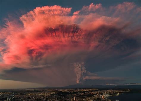 2 Fotografii Premiate La Concursul Organizat De Ziua Internationala A