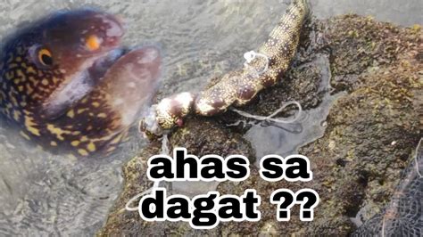 Delikadong Ahas Sa Dagat Youtube