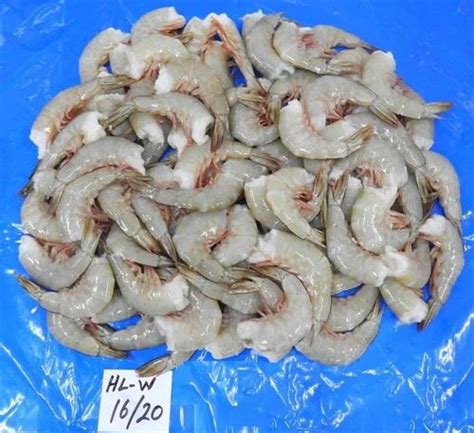 Headless White Shrimps Prawns Block Frozen At Best Price In Chennai