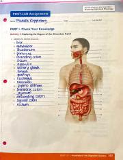 UNIT 27 POSTLAB Pdf Post Lab Quizzes Are Also Assignable In Mastering