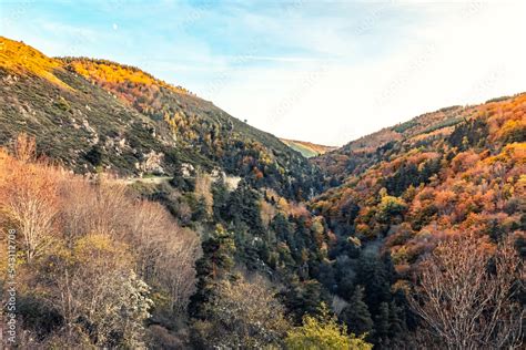 Fotografia do Stock La vallée et les gorges de l enfer en Lozère