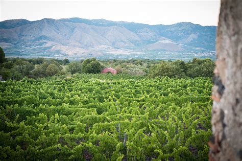 Teatro In Vigna Alle Pendici Dell Etna Due Weekend Tra Vino E