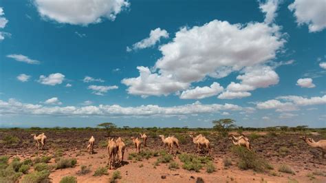 Chalbi Desert, Kenya – Here Goes Kenya