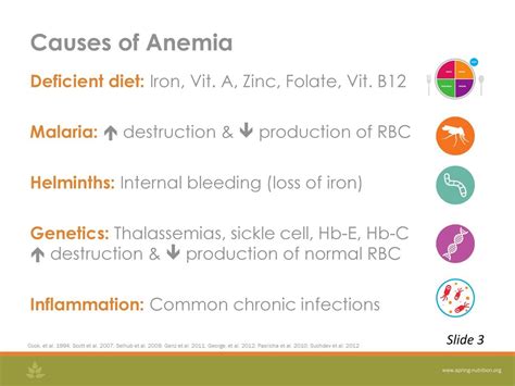 Anemiaan Overview This Presentation Will Be General Overview Of Anemia