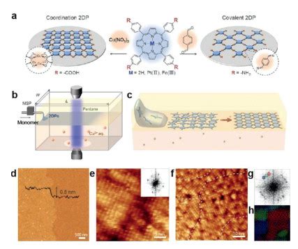 Recent Advances In Single Crystalline Two Dimensional Polymers