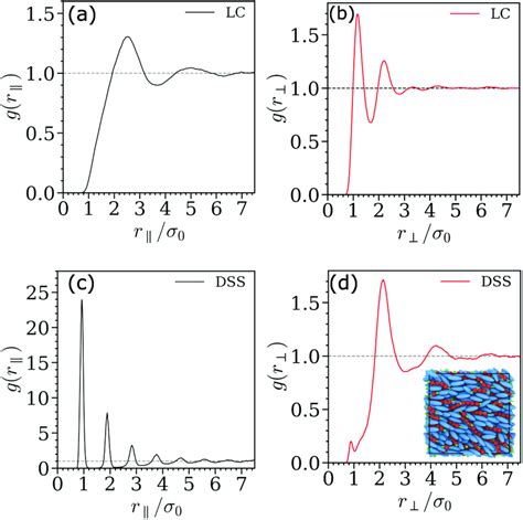 Projected Pair Correlation Functions As A Function Of Distance For The