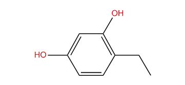 The Kovats Retention Index 4 Ethyl 1 3 Benzenediol C8H10O2