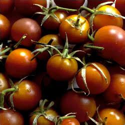 Black Cherry Tomato - Heirloom Seed Vault