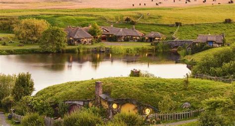 Recorrido Por Hobbiton Auckland Nueva Zelanda Tiqy