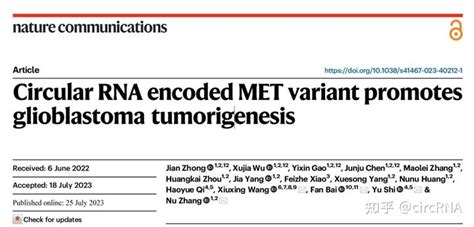 Nat Commun丨研究团队揭示环状rna编码的met变体促进胶质母细胞瘤的发生 知乎