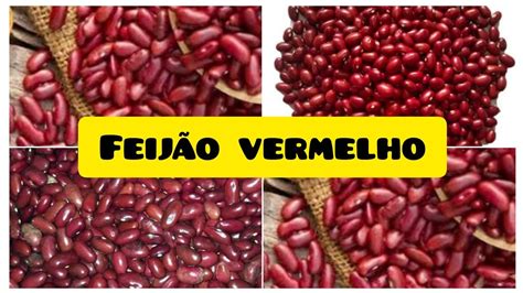 Feij O Vermelho Seus Benef Cios Emagrece Baixo Teor Cal Rica Youtube