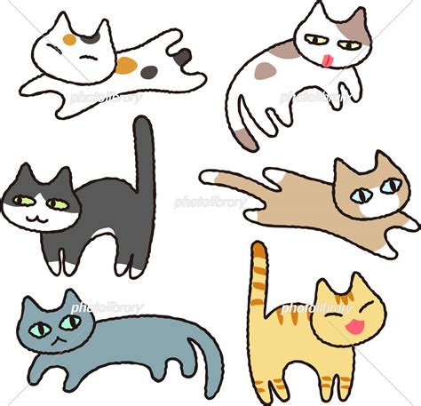 様々な種類の猫のイラストセット イラスト素材 4589384 フォトライブラリー Photolibrary