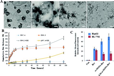 Cancer Cell Membrane Modified Biodegradable Mesoporous Silica