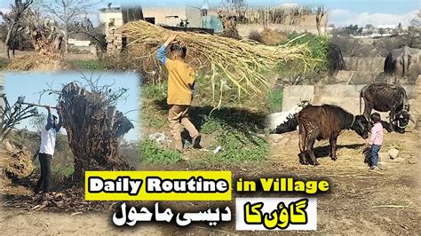 Meray Gaon Ka Desi Mahool Pakistan Village Life Daily Routine Youtube