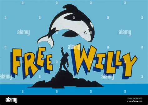 FREE WILLY, poster art, killer whale, 1993. © Warner Bros / courtesy ...