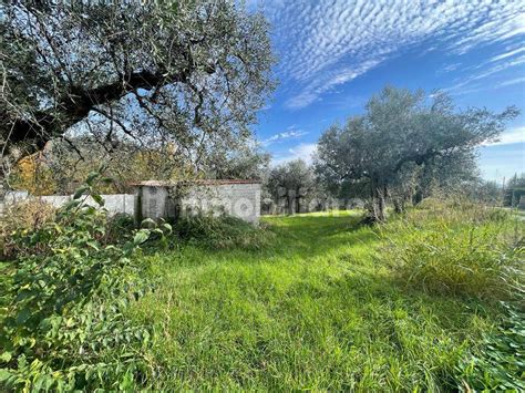 Terreno Agricolo Via Del Borghetto Fara In Sabina Rif