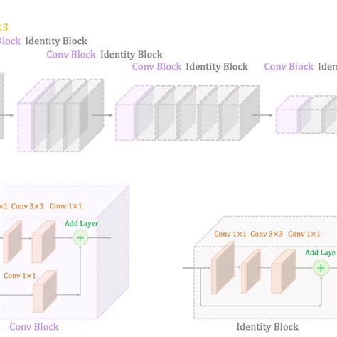 Resnet50 Architecture Download Scientific Diagram