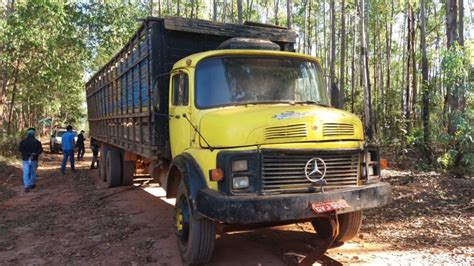 Quadrilha especializada em roubos de gado é presa em João Pinheiro MG