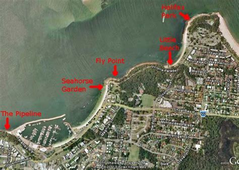 Map Of Nelson Bay Shore Dives