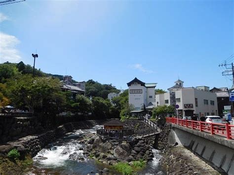 快晴になっています。 伊豆修善寺温泉 登録有形文化財 新井旅館 ブログ 「あらゐ日記」