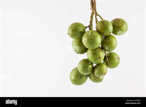 Delicious exotic tropical fruit called Melicoccus bijugatus Stock Photo ...