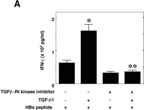 Effect Of Tgfß Ri Kinase Inhibitor On The Enhancement Of Aginduced