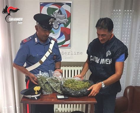 Operaio Insospettabile E Spacciatore Arrestato Dai Carabinieri Un