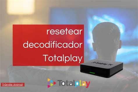 Cómo pagar Totalplay en línea en 2021 e imprimir reciboActualizado