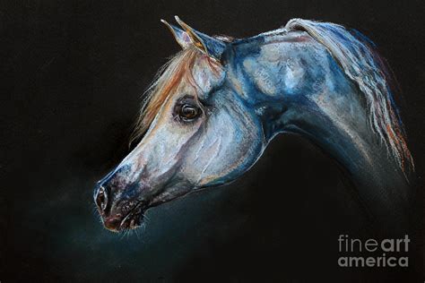 Arabian horse portrait Painting by Svetlana Golubenko - Fine Art America