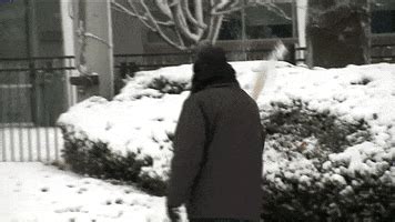 Shoveling Snow GIFs - Find & Share on GIPHY