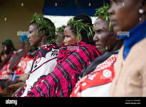 Nakuru Kenia Th De Mayo De Las Mujeres Ogiek Siguen Los