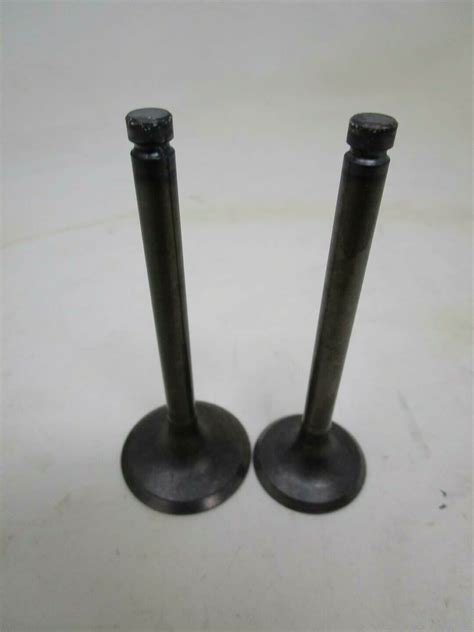 Genuine Kawasaki Intake Exhaust Valves For