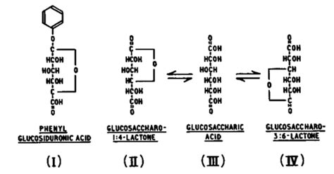 5. Antagonism To Beta-Glucuronidase