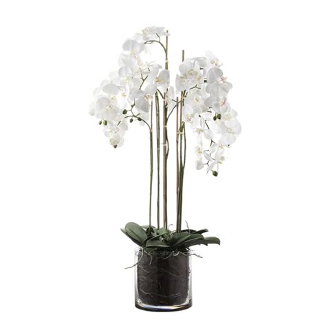 Composition D Orchid E Artificielle Avec Vase Transparent Blanche H