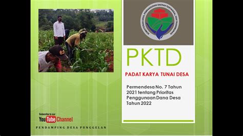 Padat Karya Tunai Desa PKTD Menurut Penjelasan Permendes No 7 Tahun