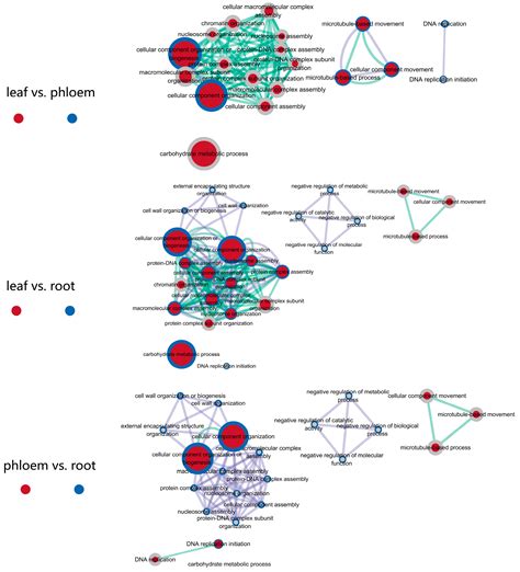 Genes Free Full Text Tissue Specific Transcriptome Analysis Reveals