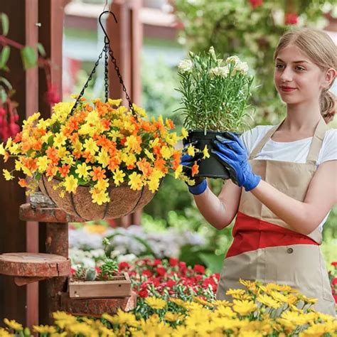 Cesta Suspensa Vaso De Flores Tipo De Suspensão Chlorophy Frete grátis