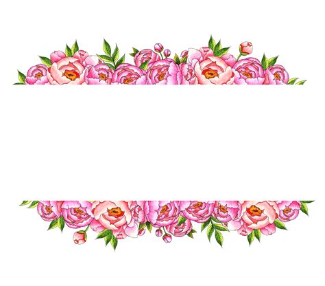 Watercolor Illustration Frame Borders Top Bottom Border With Pink