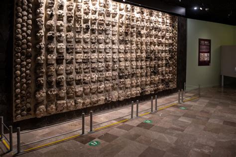 Tour Naar Templo Mayor In Cdmx Getyourguide