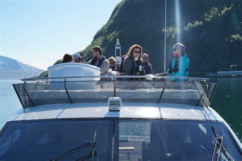 Tromsø: Fjord Cruise by Luxury Yacht | GetYourGuide