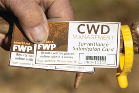 CWD Management Montana FWP