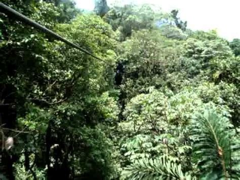 Arenal Mundo Aventura S Canopy Tour Cable