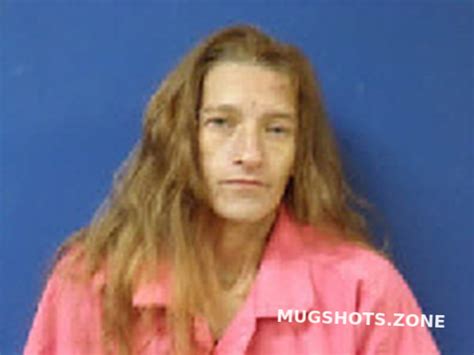 Guillette Amber Nicole Sampson County Mugshots Zone