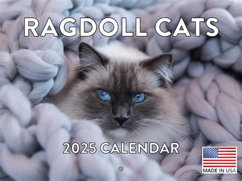 Ragdoll Calendar 2025 Sybil Euphemia