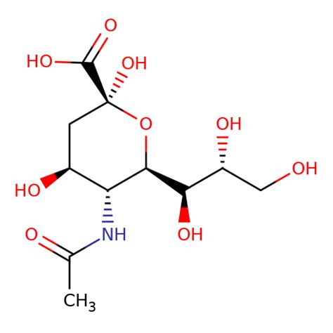 A 1600 131 48 6 N Acetylneuraminic Acid Biosynth