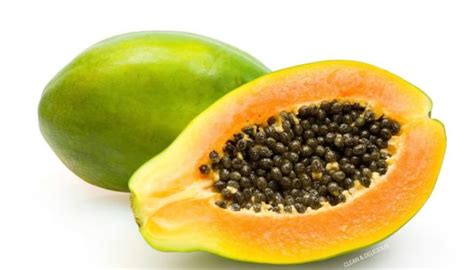 Papaya 101 | Everything You Need To Know « Clean & Delicious