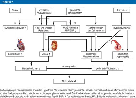 Arterielle Hypertonie