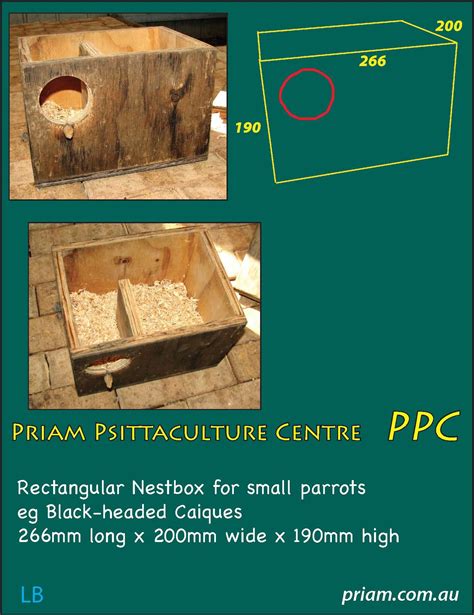 Nesting Box design for small parrots. | Aviário de pássaros, Viveiros ...